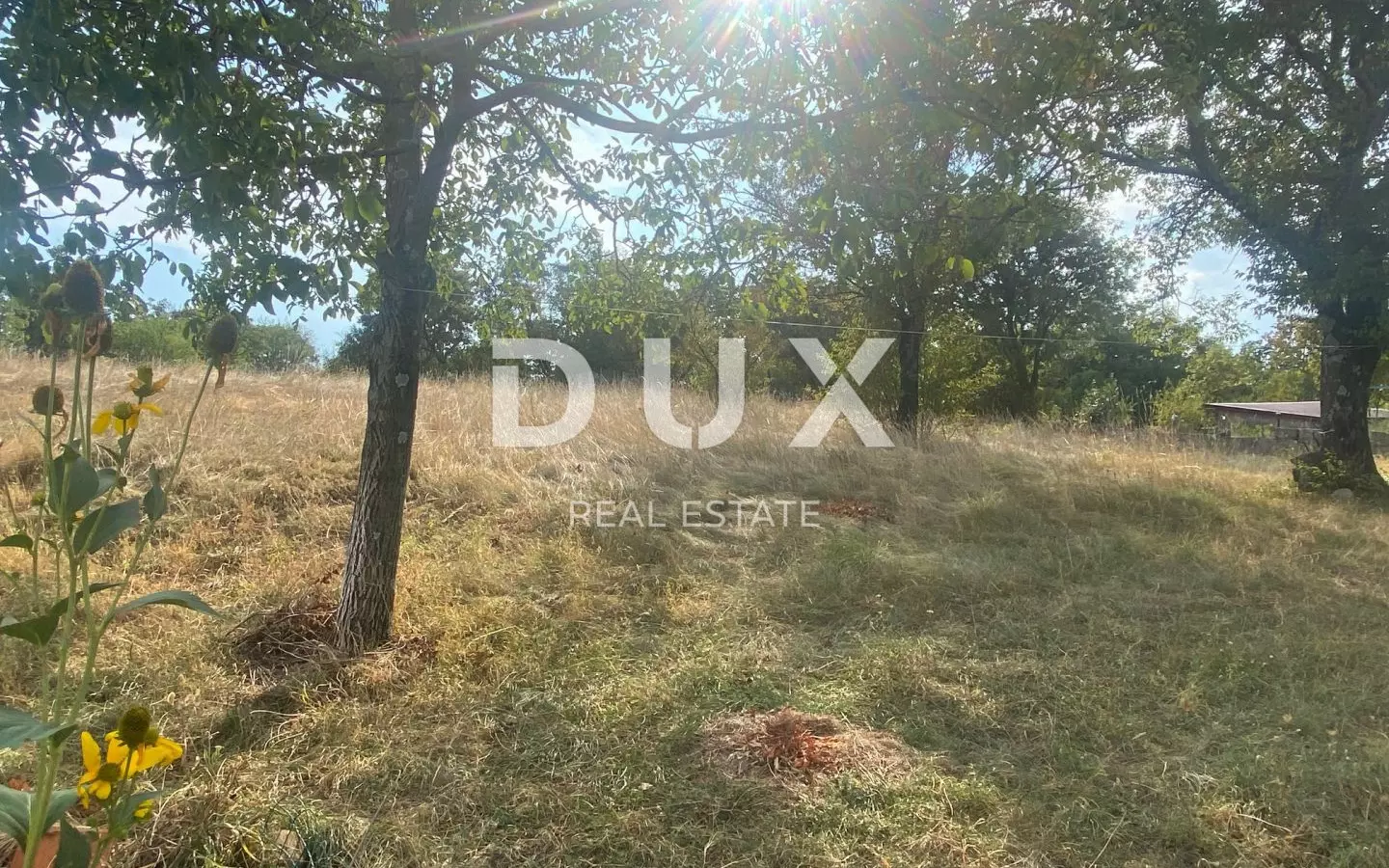 Land In Cernik, Croatia (4.176 M²)