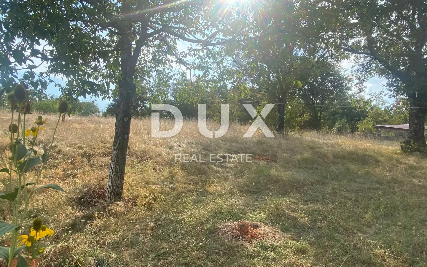 Land In Cernik, Croatia (4.176 M²)