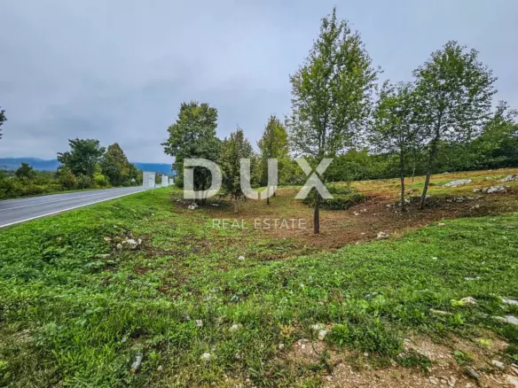 Land In Čatrnja, Croatia (10.940 M²)