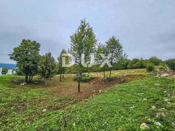 Land In Čatrnja, Croatia (10.940 M²)