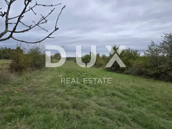 Land In Grožnjan, Croatia (1.338 M²)