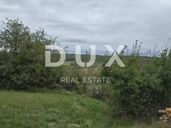 Land In Grožnjan, Croatia (1.338 M²)