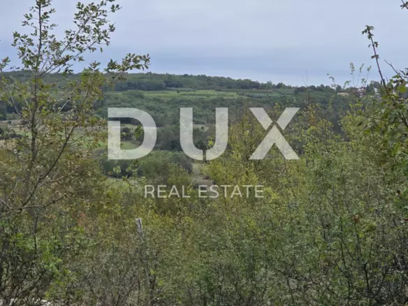 Land In Grožnjan, Croatia (1.338 M²)