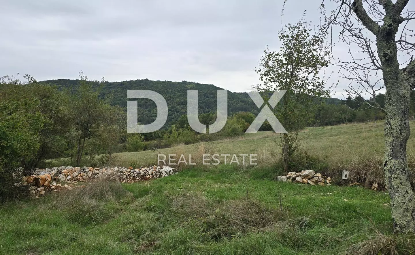 Land In Grožnjan, Croatia (1.338 M²)