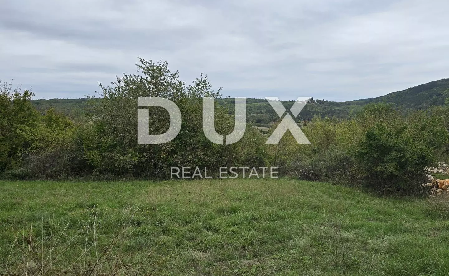 Land In Grožnjan, Croatia (1.338 M²)