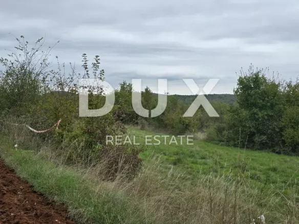 Land In Grožnjan, Croatia (1.338 M²)