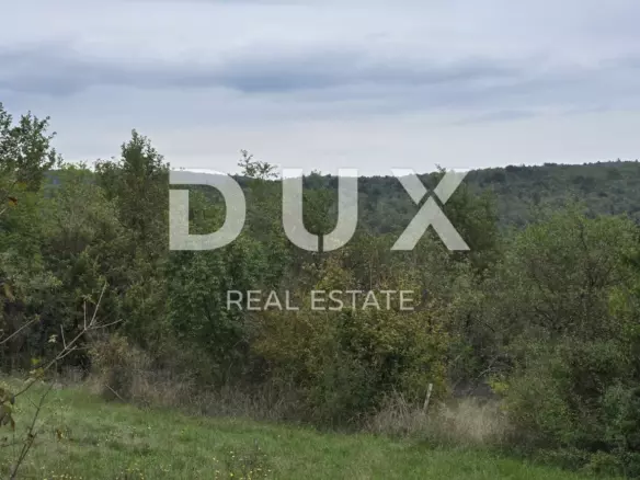 Land In Grožnjan, Croatia (1.338 M²)