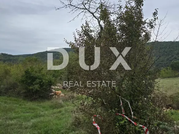 Land In Grožnjan, Croatia (1.338 M²)