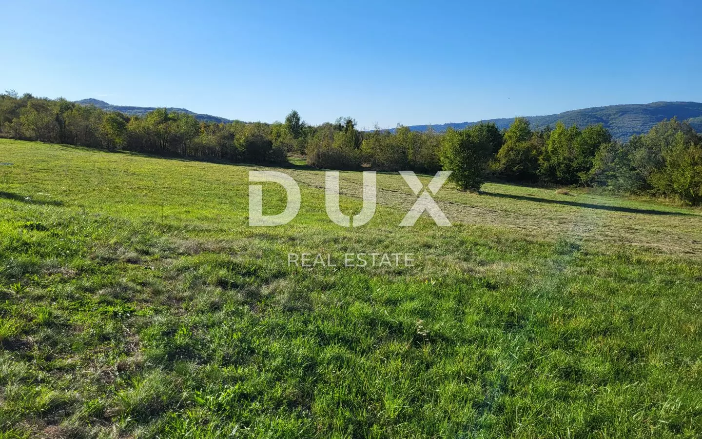 Land In Motovun, Croatia (9.212 M²)