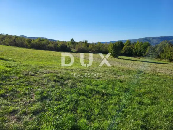 Land In Motovun, Croatia (9.212 M²)