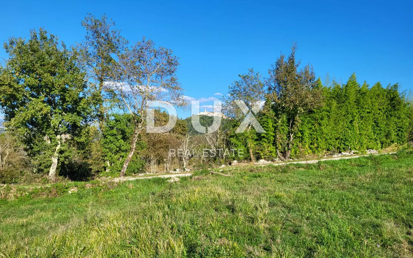 Land In Motovun, Croatia (9.212 M²)