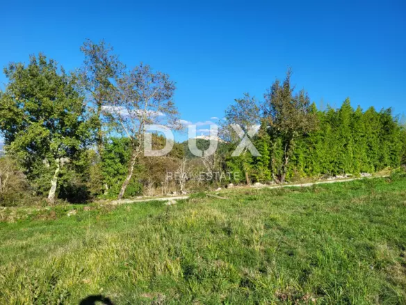 Land In Motovun, Croatia (9.212 M²)