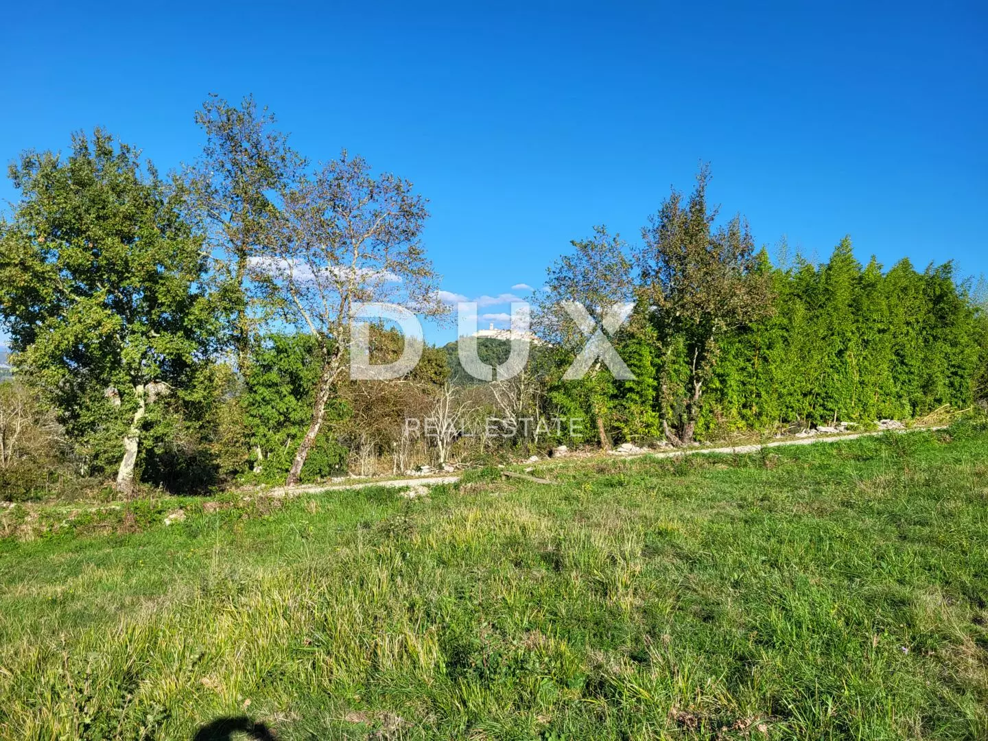 Land In Motovun, Croatia (9.212 M²)