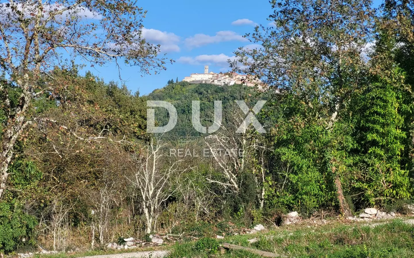Land In Motovun, Croatia (9.212 M²)