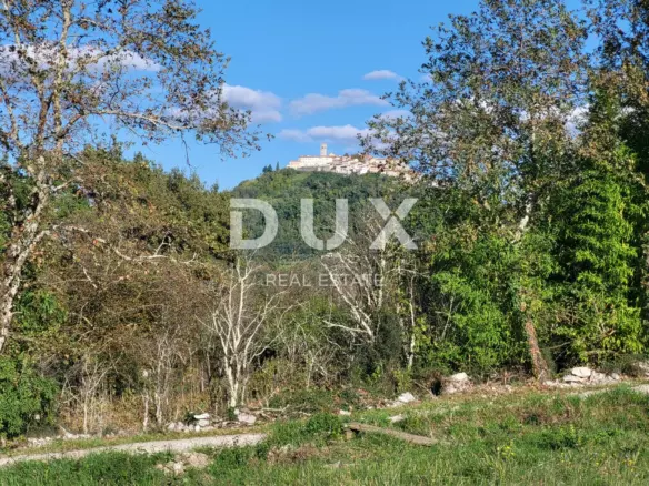 Land In Motovun, Croatia (9.212 M²)