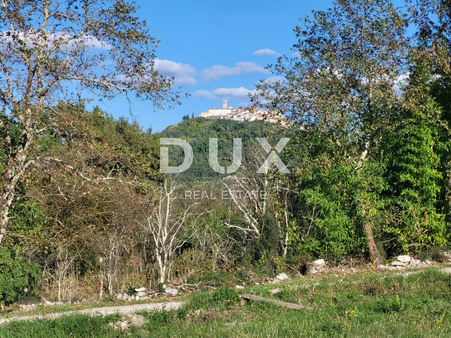 Land In Motovun, Croatia (9.212 M²)