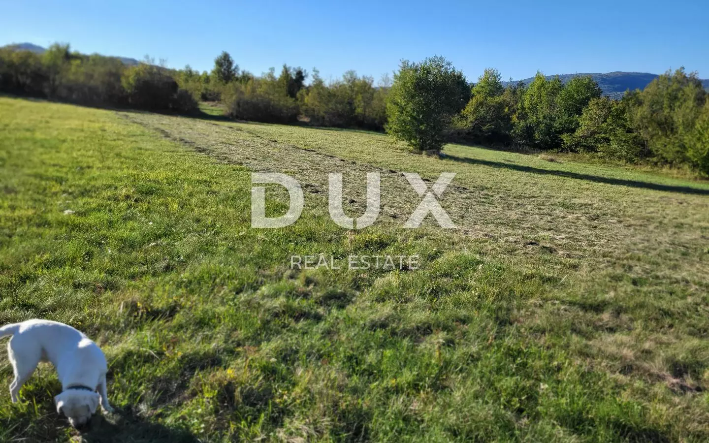 Land In Motovun, Croatia (9.212 M²)