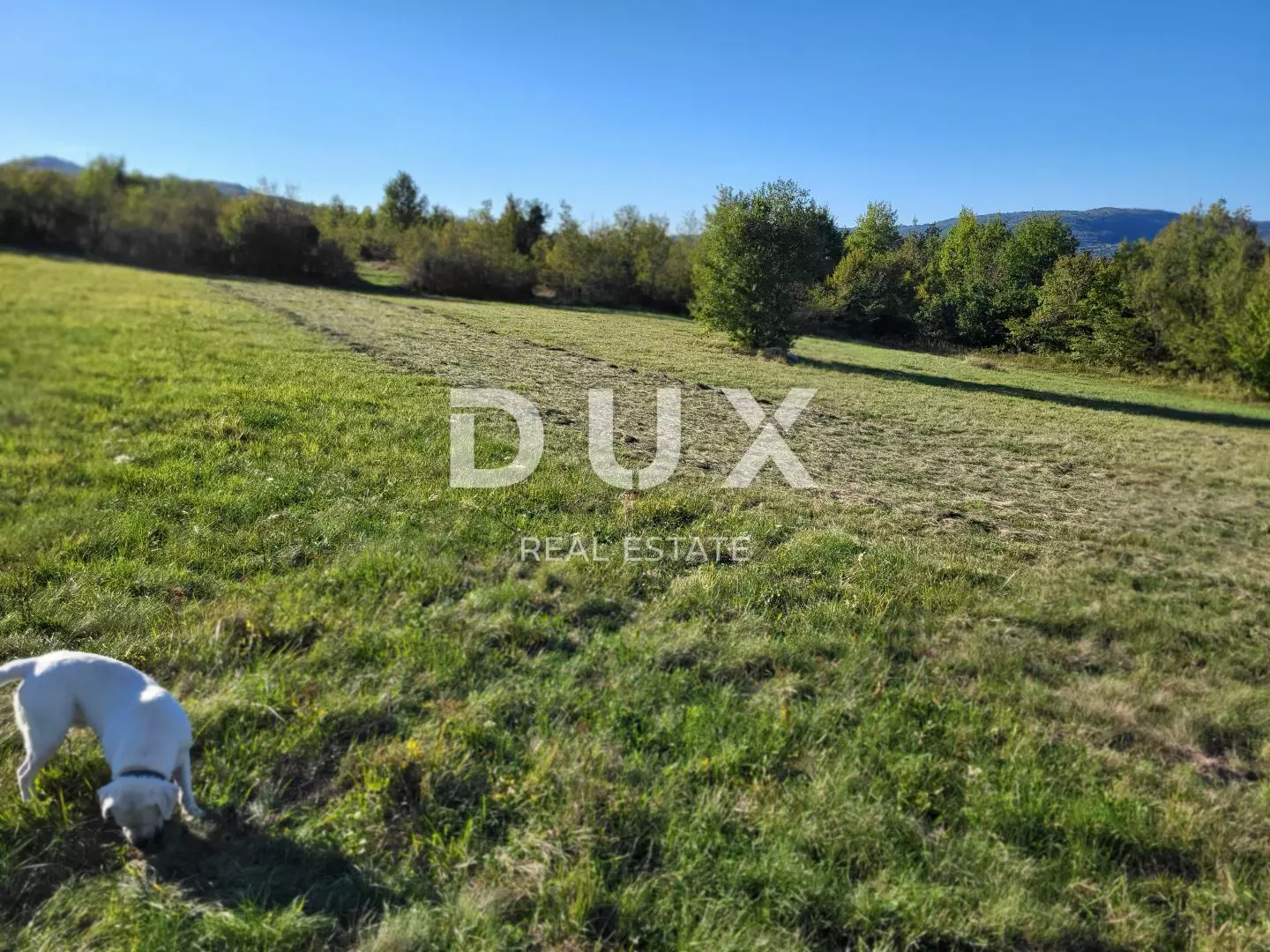 Land In Motovun, Croatia (9.212 M²)