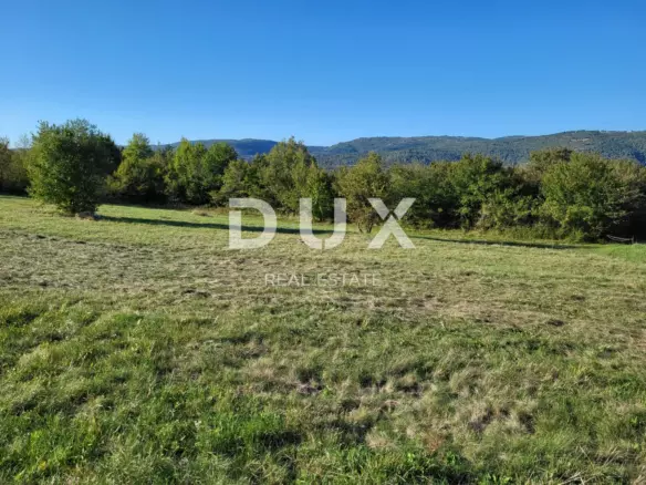 Land In Motovun, Croatia (9.212 M²)