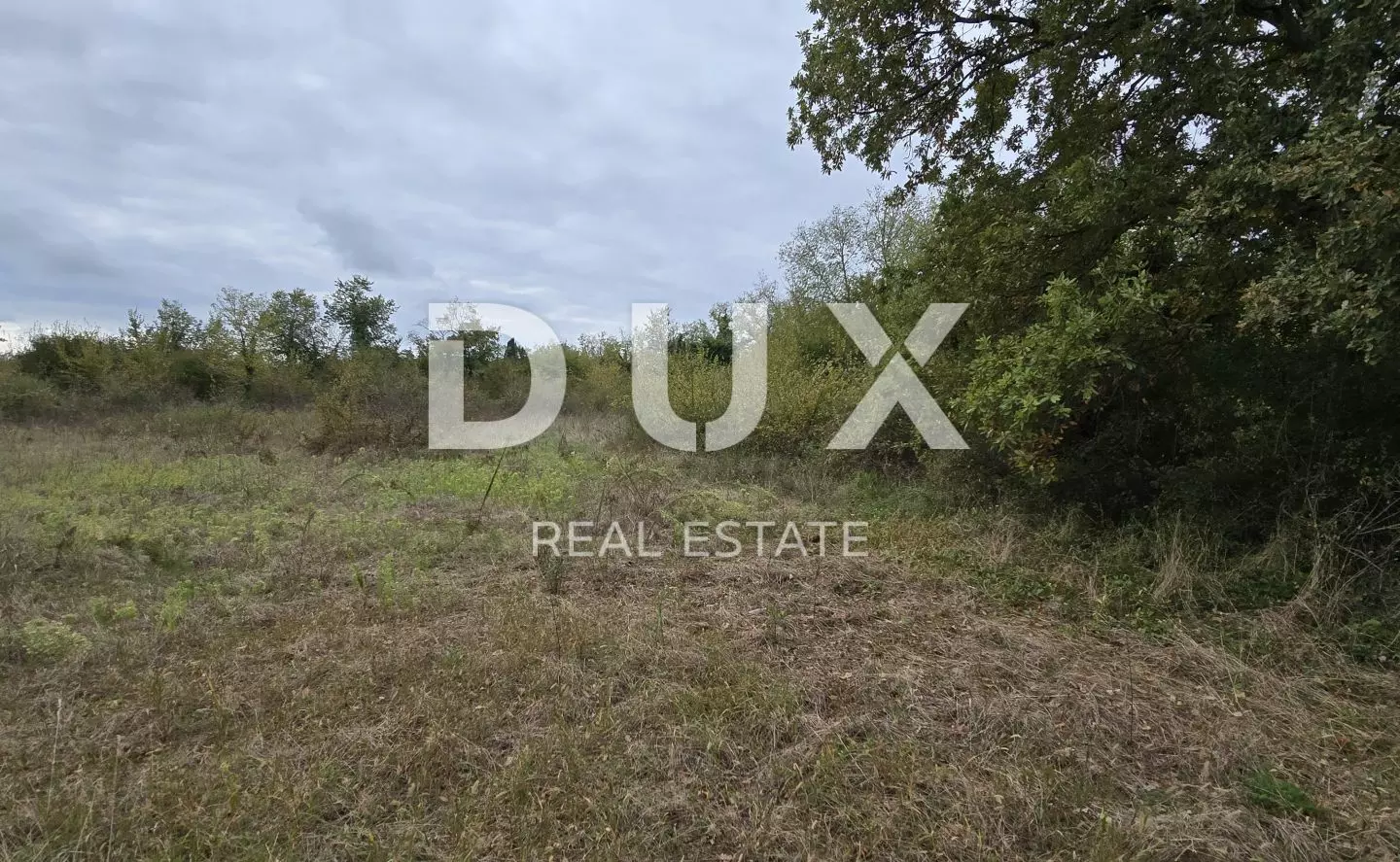 Land In Rovinjsko Selo, Croatia (2.411 M²)