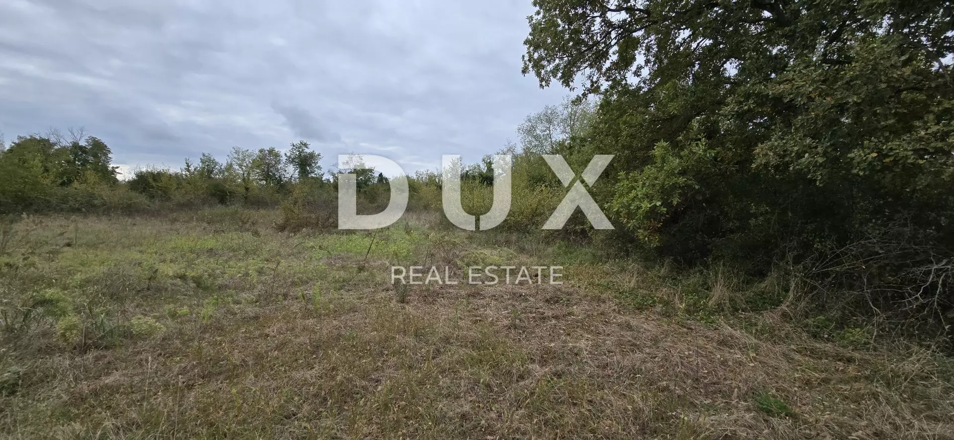 Land In Rovinjsko Selo, Croatia (2.411 M²)