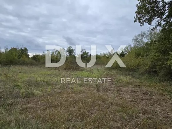 Land In Rovinjsko Selo, Croatia (2.411 M²)