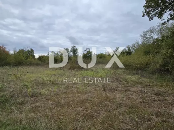 Land In Rovinjsko Selo, Croatia (2.411 M²)