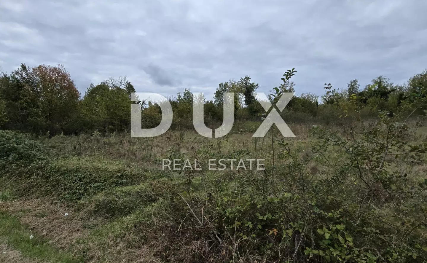 Land In Rovinjsko Selo, Croatia (2.411 M²)