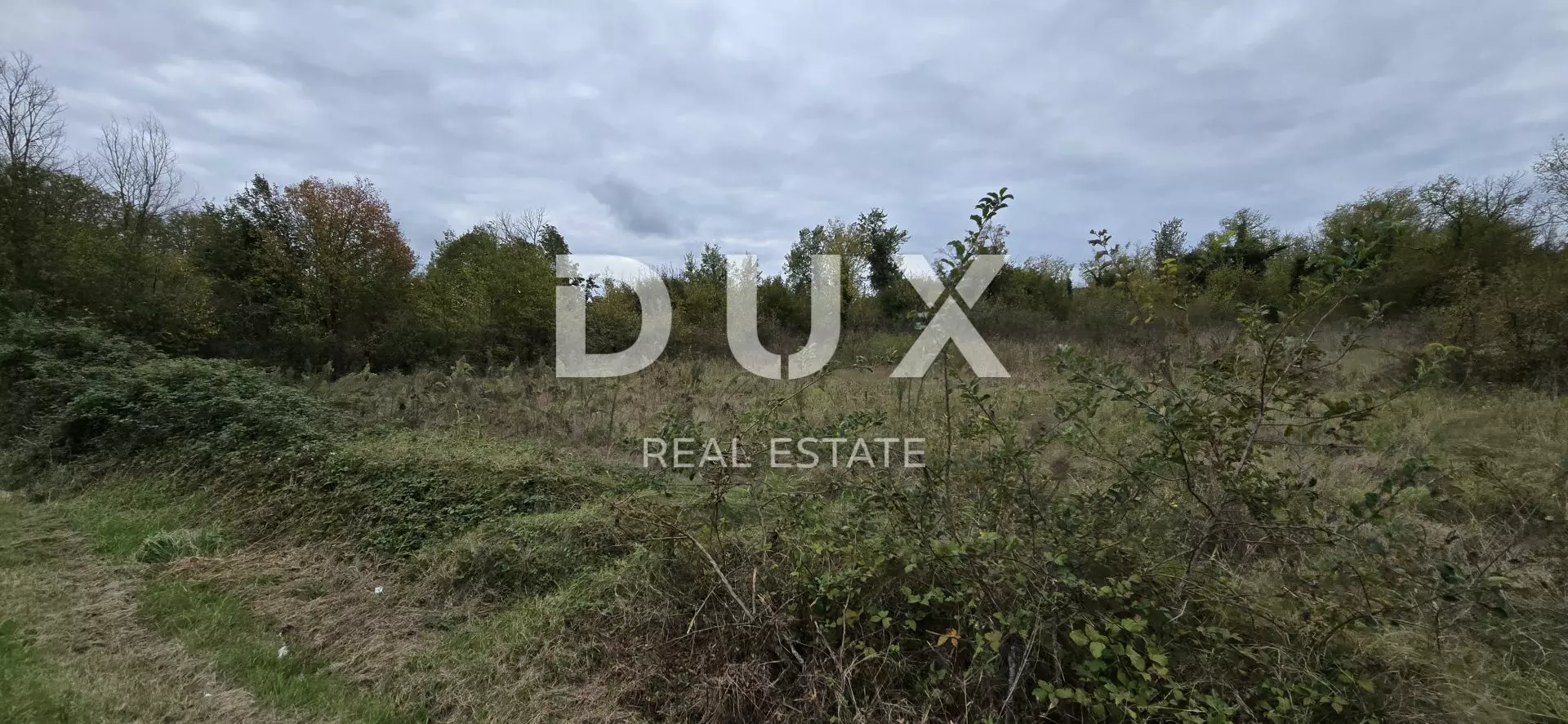 Land In Rovinjsko Selo, Croatia (2.411 M²)