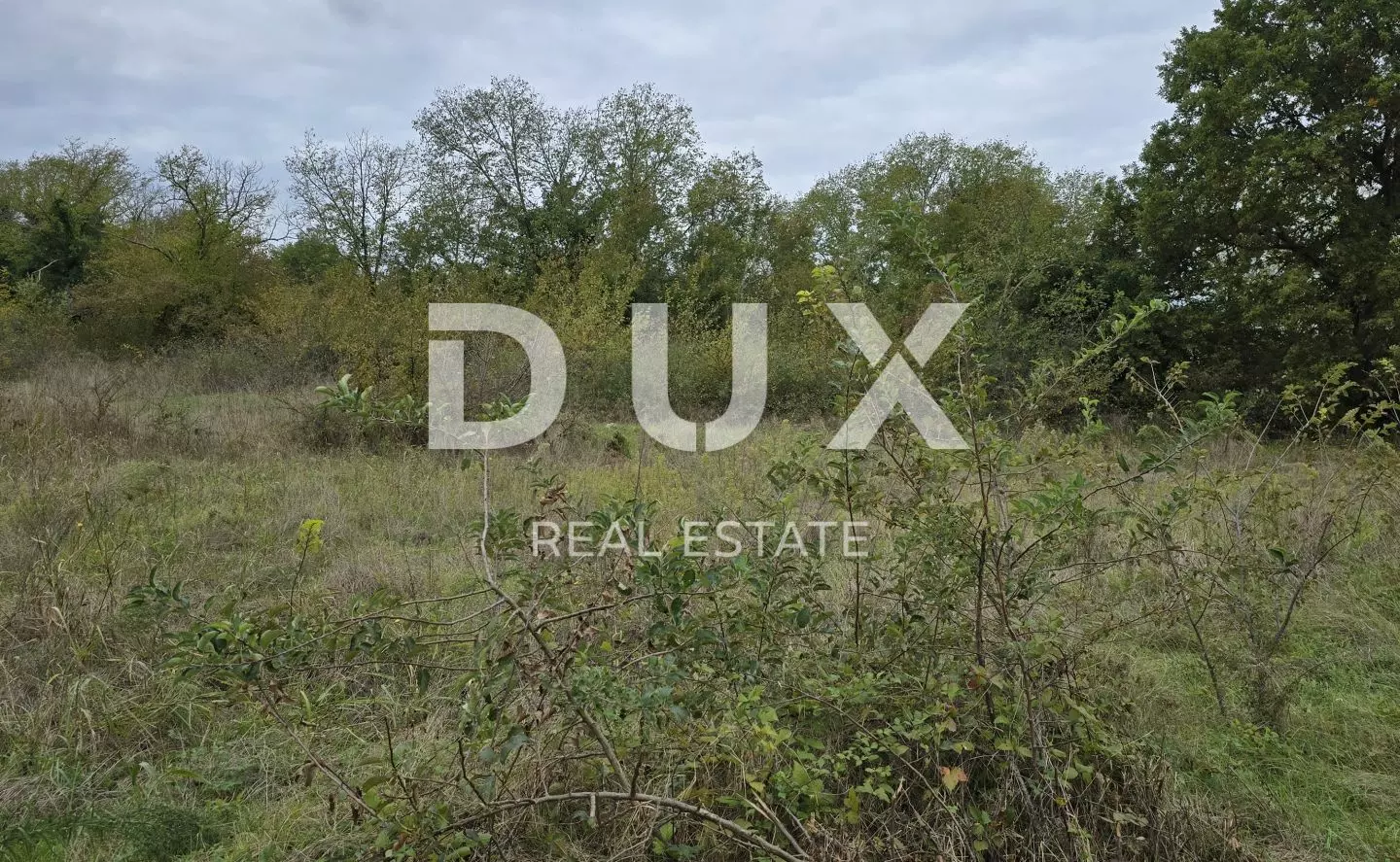 Land In Rovinjsko Selo, Croatia (2.411 M²)