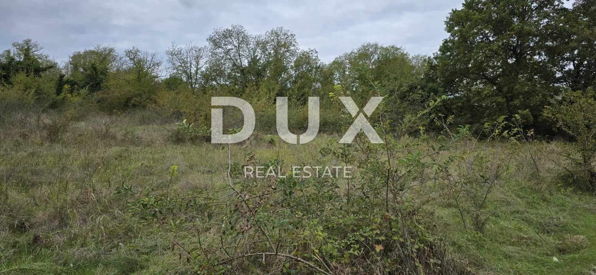 Land In Rovinjsko Selo, Croatia (2.411 M²)