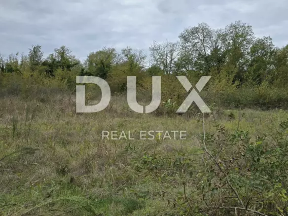 Land In Rovinjsko Selo, Croatia (2.411 M²)