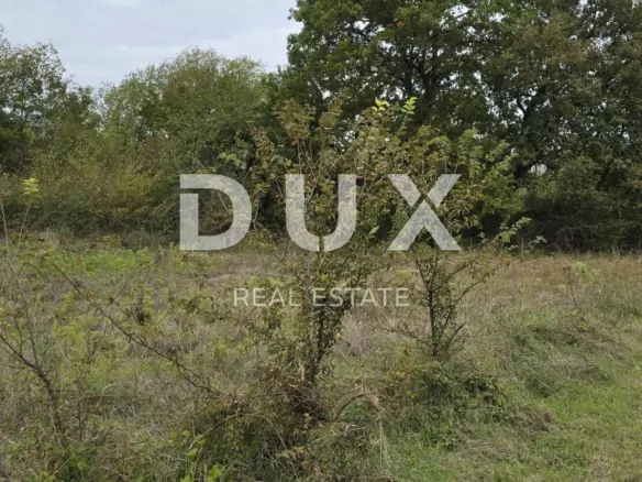 Land In Rovinjsko Selo, Croatia (2.411 M²)