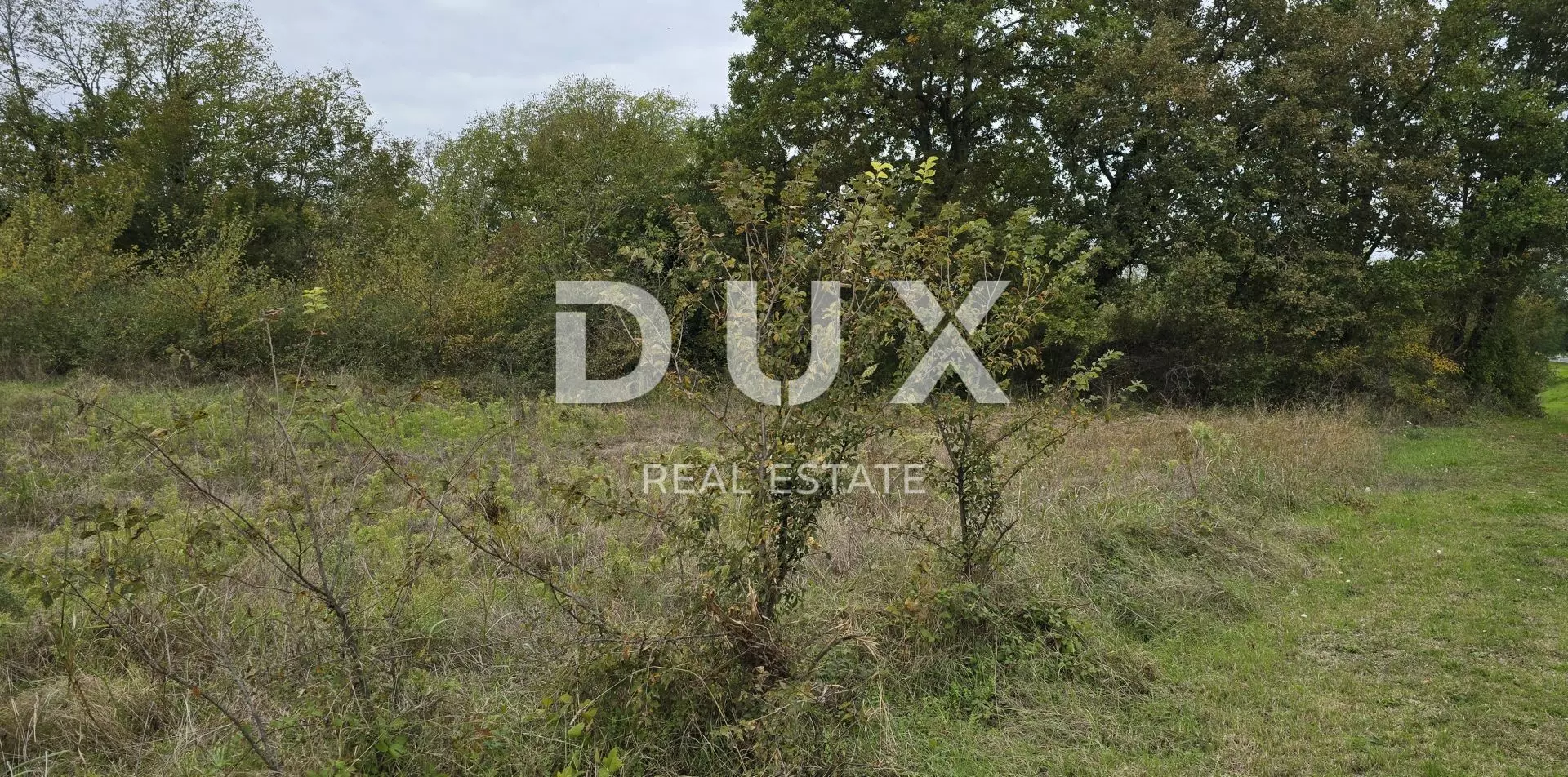 Land In Rovinjsko Selo, Croatia (2.411 M²)