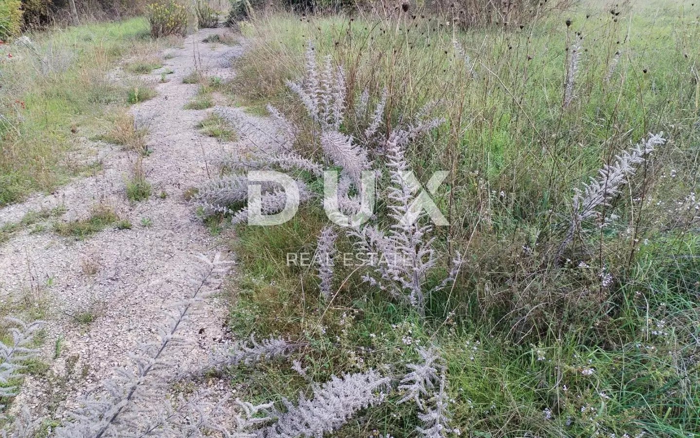 Land In Marčana, Croatia (6.162 M²)