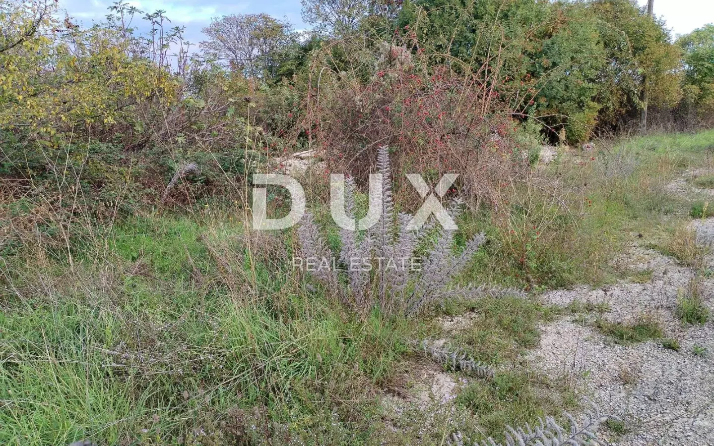 Land In Marčana, Croatia (6.162 M²)