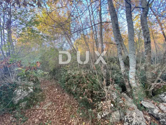 Land In Kastav, Croatia (2.911 M²)