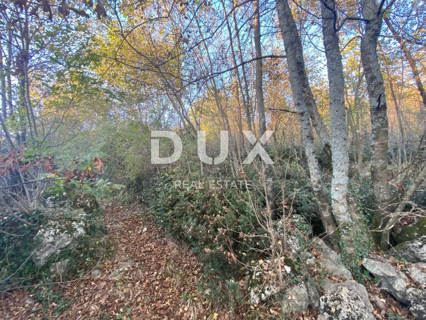 Land In Kastav, Croatia (2.911 M²)