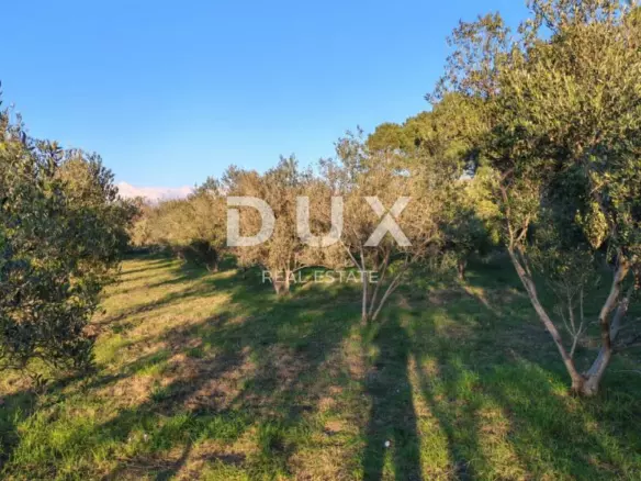 Land In Vrsi, Croatia (1.000 M²)