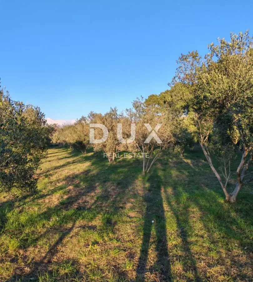 Land In Vrsi, Croatia (1.000 M²)