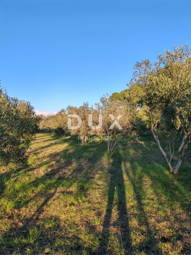 Land In Vrsi, Croatia (1.000 M²)