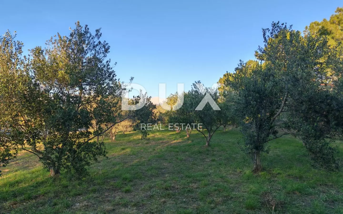 Land In Vrsi, Croatia (1.000 M²)
