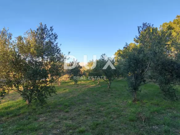 Land In Vrsi, Croatia (1.000 M²)