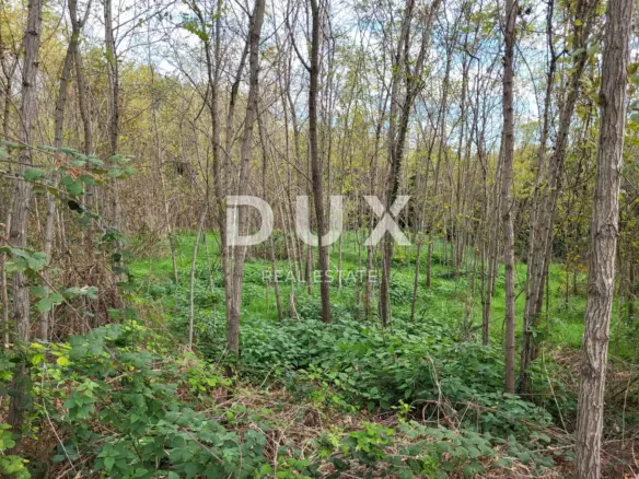 Land In Višnjan, Croatia (900 M²)