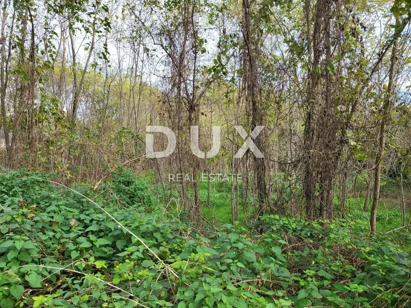 Land In Višnjan, Croatia (900 M²)