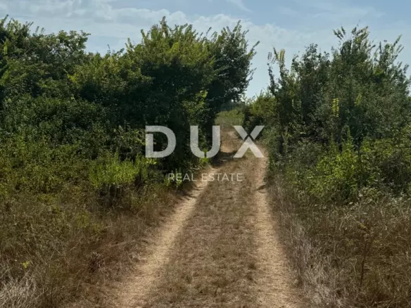 Land In Privlaka, Croatia (2.351 M²)