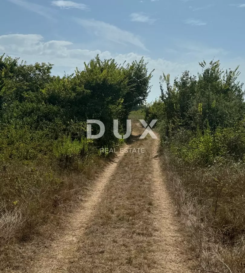 Land In Privlaka, Croatia (2.351 M²)