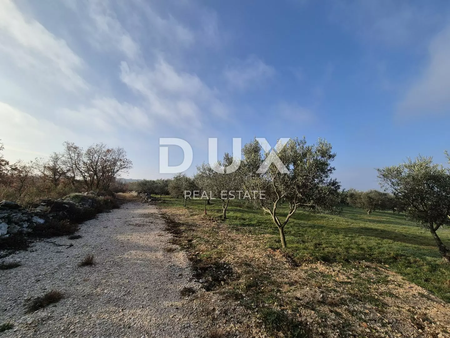 Land In Buje, Croatia (1.494 M²)