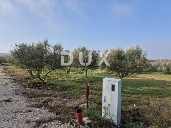 Land In Buje, Croatia (1.494 M²)