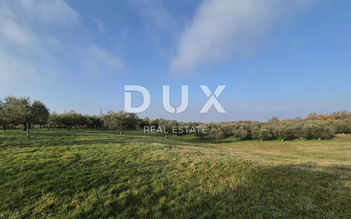 Land In Buje, Croatia (1.494 M²)